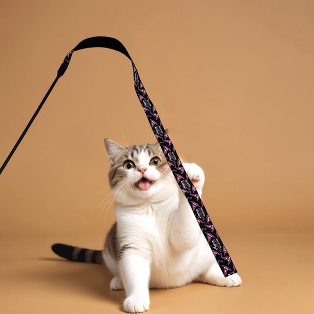 Halloween Cat Toys Interactive Teaser Wand With Durable Polyester Ribbon For Indoor Play Exercise And Entertainment