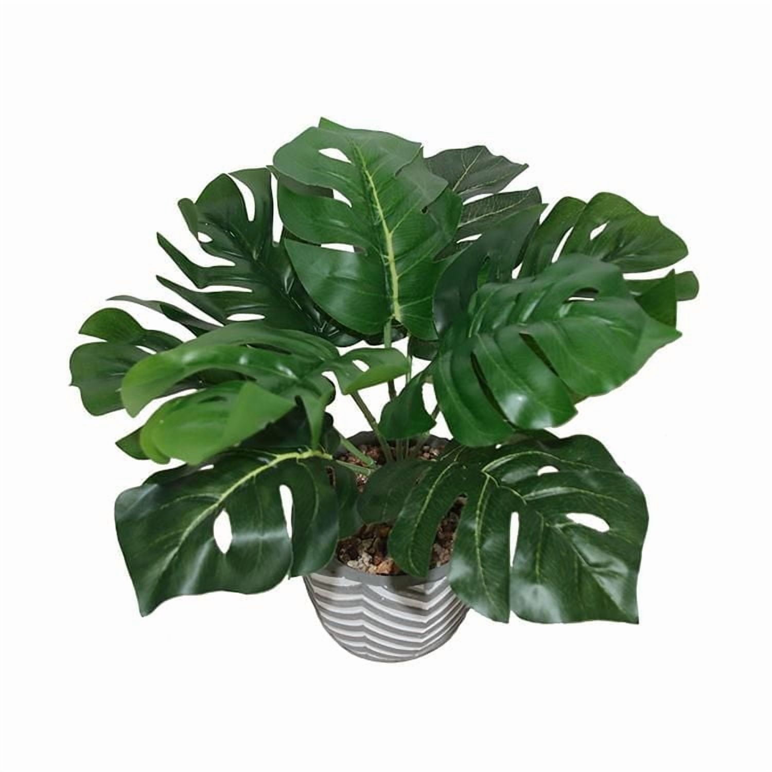Plante en pot de Lerman Decor