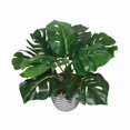 thumbnail image 3 of Plante en pot de Lerman Decor, 3 of 4