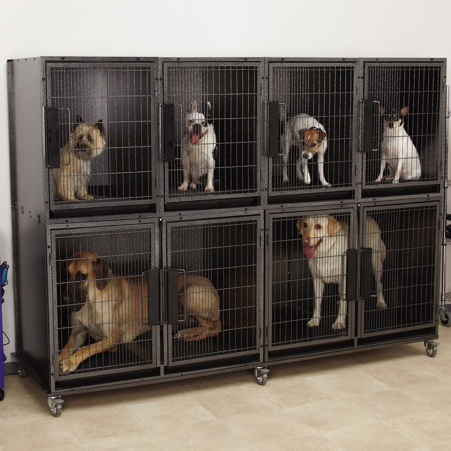 Proselect cages clearance