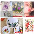 thumbnail image 2 of Dried Flowers Set Scrapbooking Decorating Real Material Pressed Flower Decal Handicraft Filling Pressed Specimen Label for Makeup Phone Use Type 6, 2 of 6