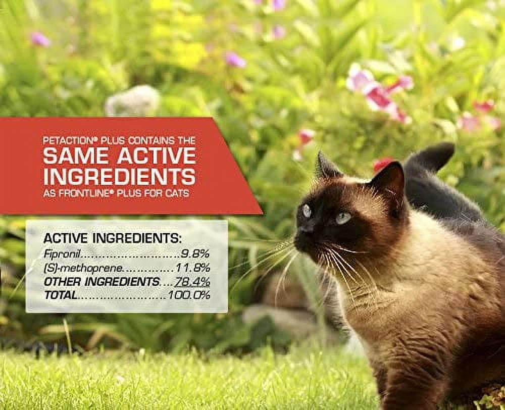 PETACTION PRO Flea & Tick Topical Treatment for Cats Over 1.5 lbs, 3 Count