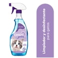thumbnail image 2 of Cesco Gatos, 2 of 5