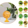 thumbnail image 2 of 6 Sets Upgraded Indoor Flying Insect Trap Balls, Yellow Sticky Bug Balls House Plants Kitchen Drains Yards Gardens Indoor Outdoor, Fruit Fly Killer and Mosquito Catcher, 2 of 9