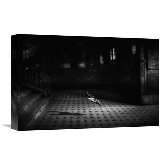 Global Gallery Holger Droste,'Chance Encounter' Stretched Canvas Artwork