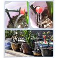 thumbnail image 4 of Gotero de 8 agujeros de 100 piezas, equipo de aspersión de riego por goteo de jardinería de tasa de flujo ajustable brillar Electrónica, 4 of 4