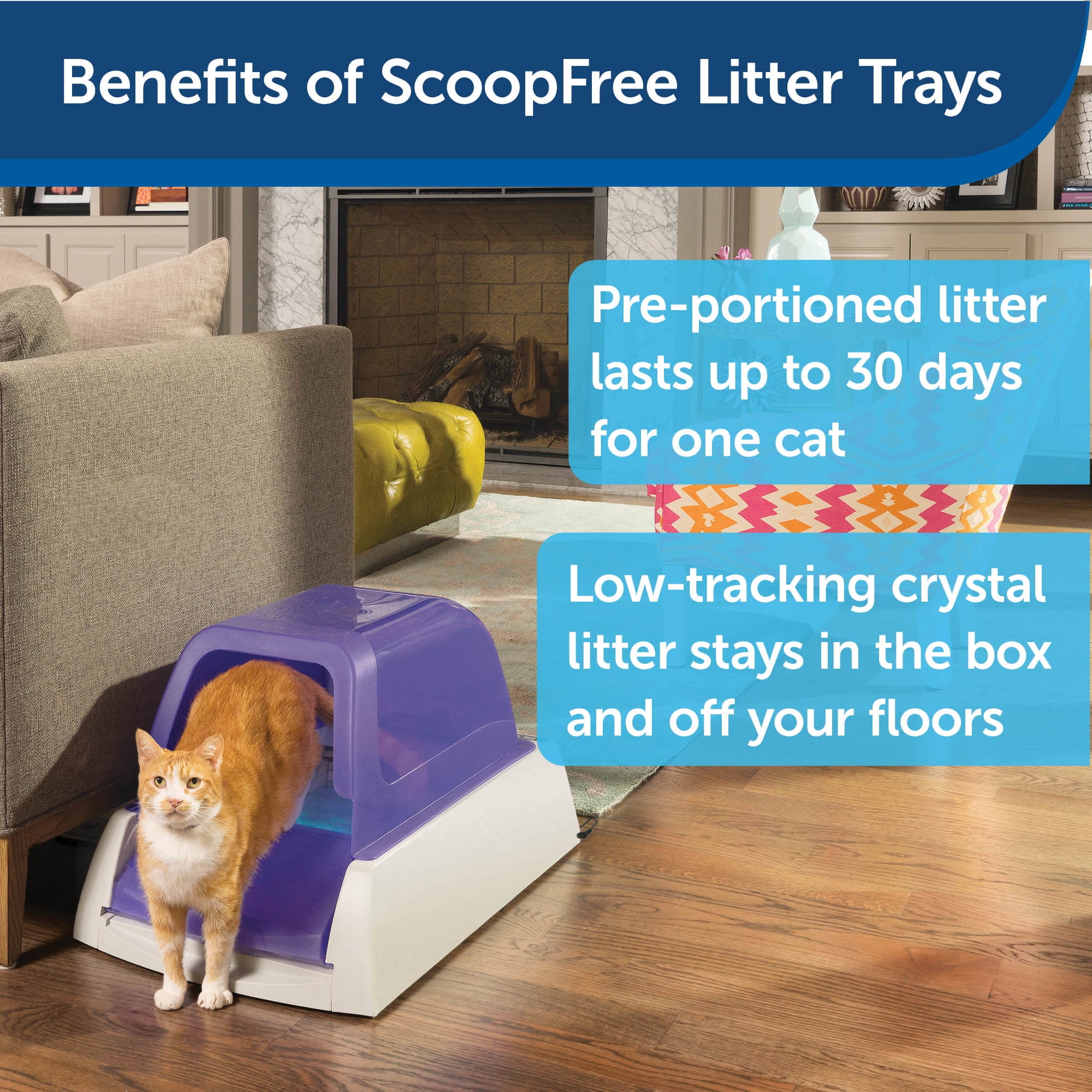 scoopfree litter tray refills walmart
