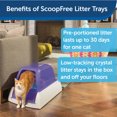 PetSafe ScoopFree Ultra SelfCleaning Cat Litter Box