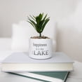 thumbnail image 2 of Lake - Artificial Potted Plant, 2 of 9