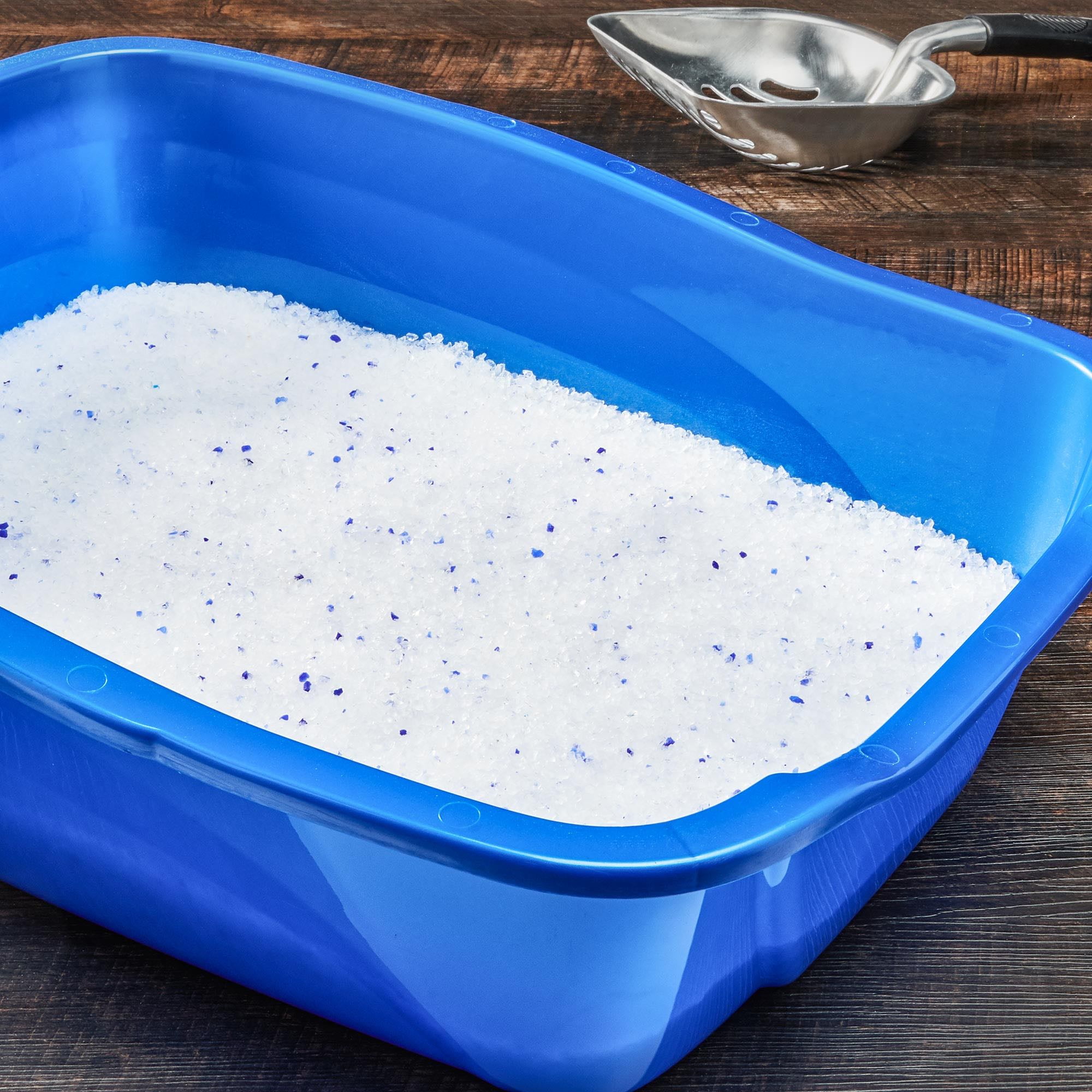 Vibrant cat litter crystals Clearance