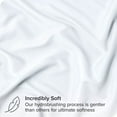 thumbnail image 2 of Bare Home Pillow Sham Set - Premium 1800 Collection - Double Brushed - Euro, White, 2 of 7