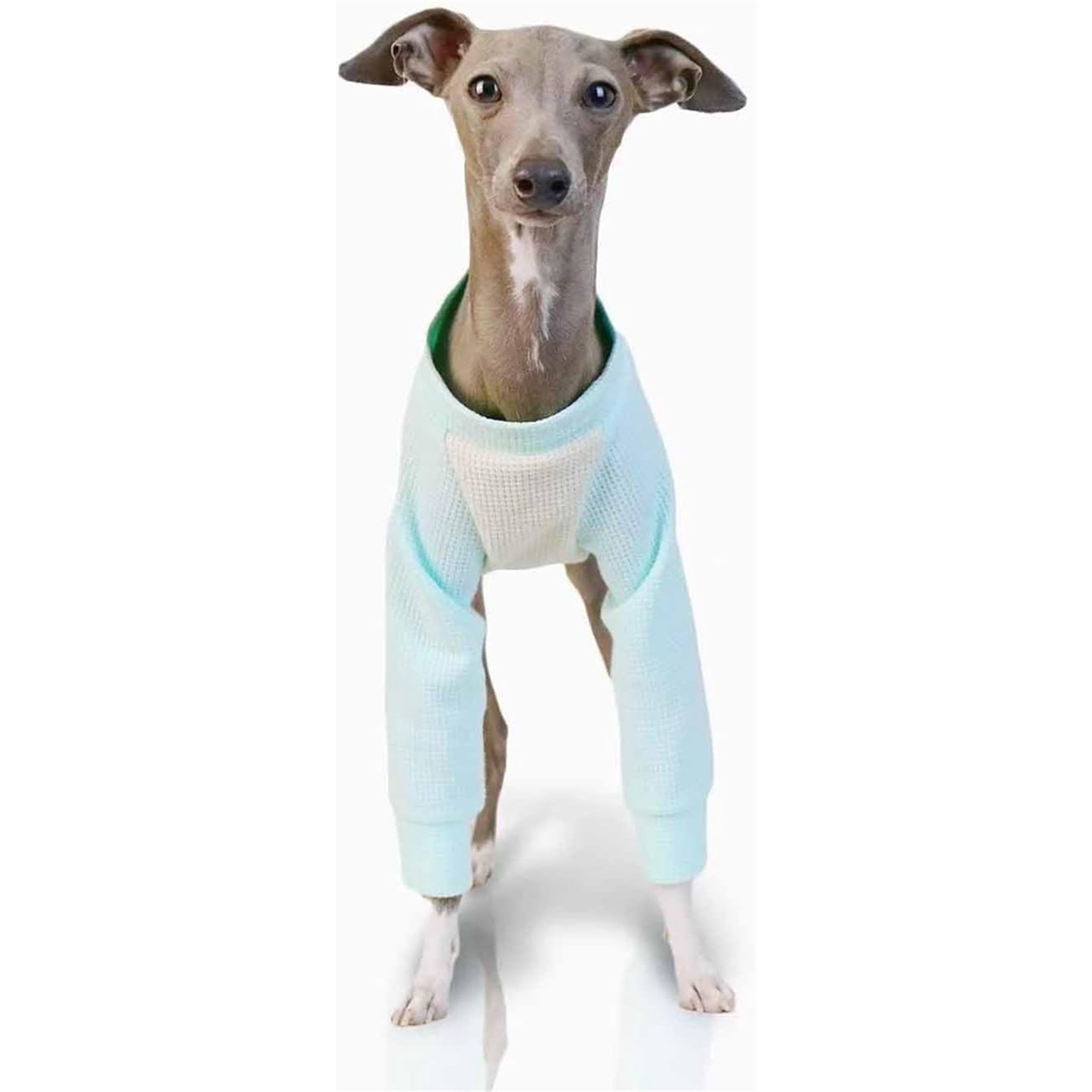 UOSIA Italian Greyhound Clothes Dog Denim Overalls Fashionable Puppy Jean Jacket