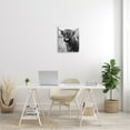 thumbnail image 2 of Stupell Industries Closeup Longhorn Cattle Grazing Monochrome Photography Canvas Wall Art, 16 x 20, Design by Amy Brinkman, 2 of 5