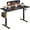 Black Color, variant on HUANG 48x24 Inches Standing Desk, Whole-Piece Electric Desktop with Cable Holes, Black