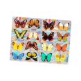 thumbnail image 2 of Película adhesiva para ventana de arcoíris, estático de mariposa para evitar golpes de pájaros, pegatina para ventana para dormitorio y Estilo B, 2 of 8