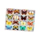 thumbnail image 2 of Rainbow Maker Window Cling, Película para ventanas, Vinilo para ventanas, Etiqueta engomada de vidrio, Calcomanía de ventana de mariposa para cocina Estilo B, 2 of 8
