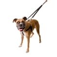 thumbnail image 2 of 2 Hounds Design Freedom No Pull Harness and Leash Training Kit Raspberry Large, 2 of 4