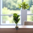 thumbnail image 4 of unbranded Plantas Artificiales De Material Premium Con Hojas Realistas Para Oficina Y Hogar, 4 of 6