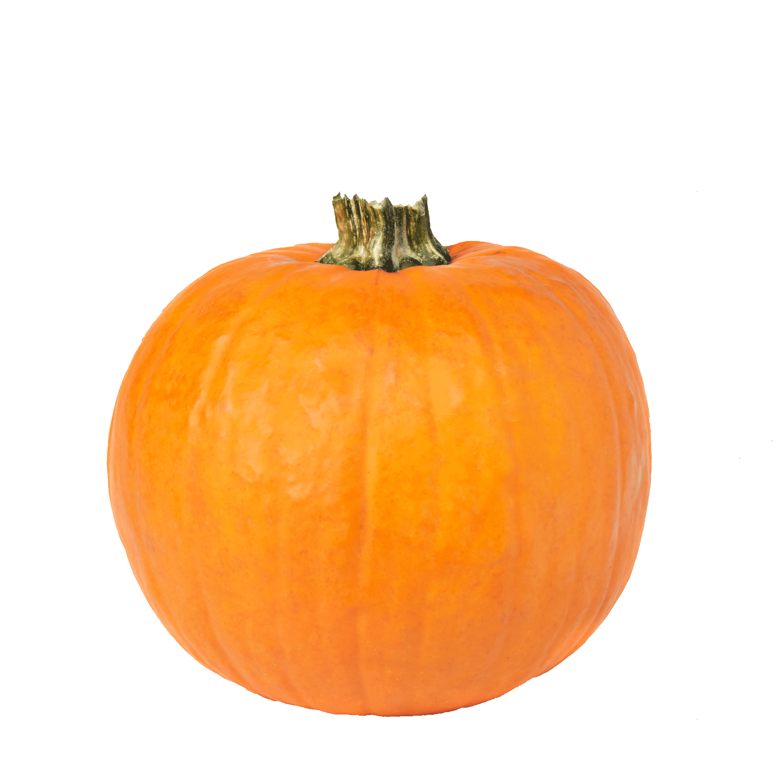 Fall Pumpkins 1