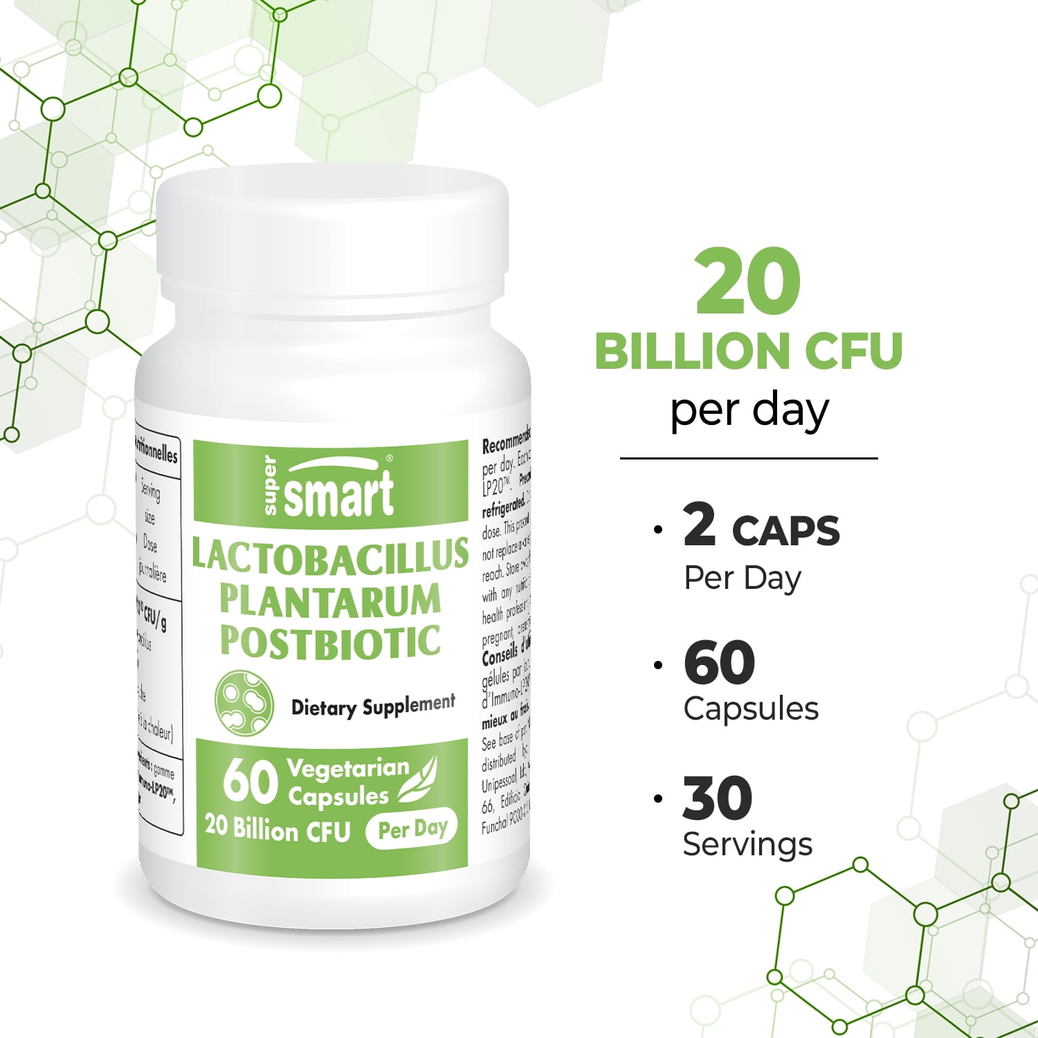 SuperSmart Lactobacillus Plantarum PostBiotic 20 Billion CFU per Day (Immuno-LP20) - Heat-Treated Probiotic Supplement | Non-GMO & Gluten Free - 60 Vegetarian Capsules