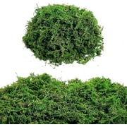Green Moss for Crafts Artificial Moss Decorative Moss for Potted Plant Faux Orchid Moss Potting Mix Soil Peat Sphagnum Moss Pole Craft Arts Floral Wedding Decor Fairy Garden Terrariums Decoration