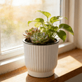 thumbnail image 3 of Eoozwa Self Watering Pots for Indoor Plants, Plant Pots, Self Watering Planter for Indoor Plants, Durable Plastic Pots, Flower, Succulents, 3 of 5