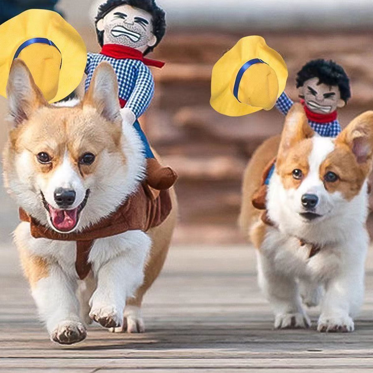 Cowboy Rider Dog Costume Halloween Dog Costumes for Small Dogs or Cats Dogs Clothes Knight Style with Doll and Hat for Halloween Day Pet Costume Walmart