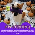 thumbnail image 4 of All For Paws Halloween No Stuffing Crinkle Dog Fetch Toy with Squeaker, Vampire Bat Firehose, 4 of 8