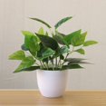 thumbnail image 2 of Artificial Succulent Plants Small Faux Cacti Indoor & Outdoor Garden With Pot, 2 of 4