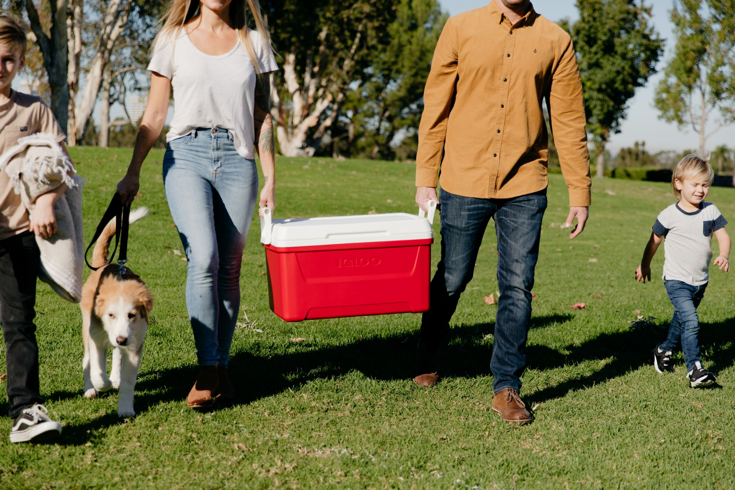 Igloo Laguna 48qt Hard Sided Ice Chest Cooler Red photo 8