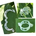 luopital Plant Vine Clips Set 140 Pieces Garden Support Clips for ...