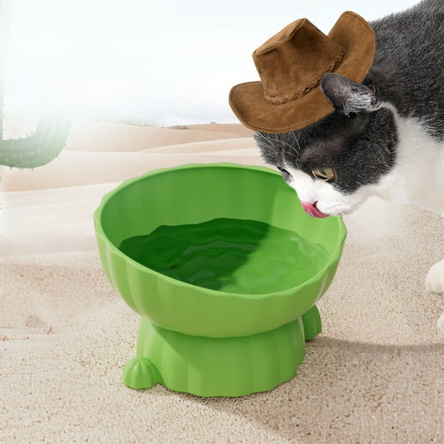 Uklsqma Multi-Color Plastic Elevated Cat Bowl | Tilted Rim Neck-Relief Design | Non-Slip Stable Base | Large Diameter Pet Food and Water Dish | Easy to Clean Durable Puppy Feeding Bowl
