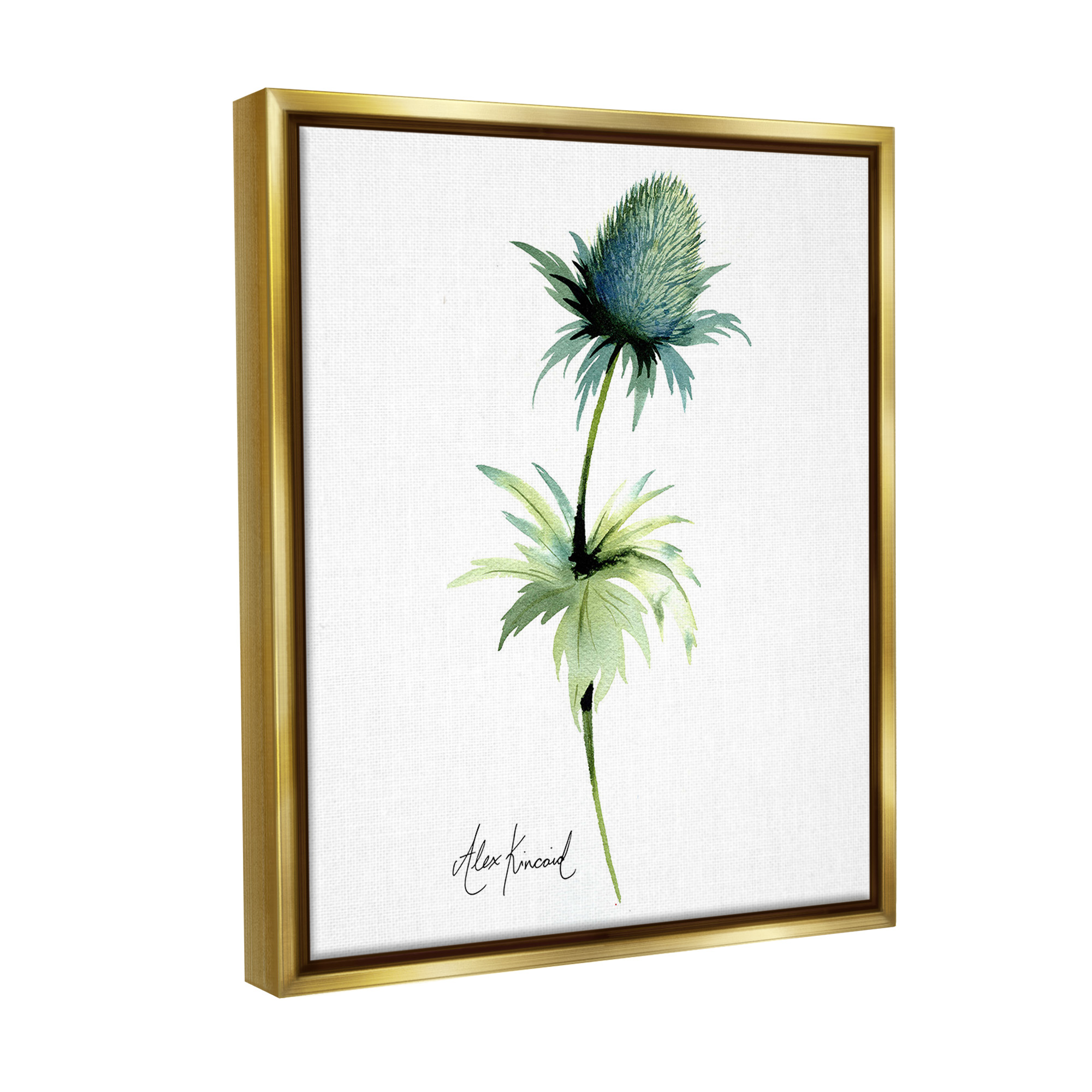 Stupell Industries Simple Thistle Plant Botanical & Floral Painting Gold Floater Framed Canvas Art Print Wall Art, 25 x 31
