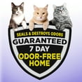 ARM & HAMMER SLIDE 7Day OdorFree Easy CleanUp Cat Litter for Multi