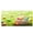 B, variant on Utoimkio Easter Decorations Indoor Microfiber Beach Towel Super Lightweight Colorful Bath Towel Sandproof Beach Blanket Multi-Purpose Towel for Travel Swimming Pool 30x60 Inch Easter Decor