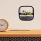 thumbnail image 2 of Macetero de pared para plantas de interior, macetero decorativo, florero colgante para oficina, maceta hidropónica, decoración de interiores, 2 of 7