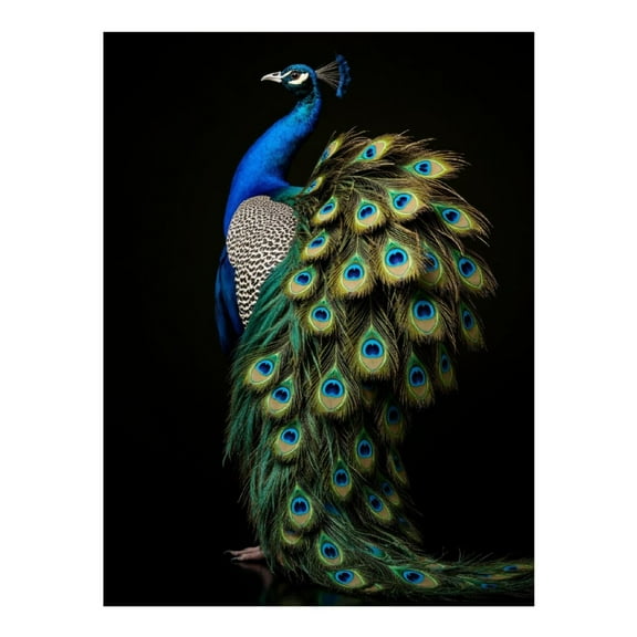 Diamond Art Kit for Adults, Elegant Vibrant Peacock Display Diamond Painting for Adults Beginners, DIY Diamond Art Painting Kits, 5D Diamond Painting Crafts for Home Decor 12x16 Frameless