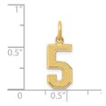 thumbnail image 3 of 14k Medium Satin Number 5 Charm in 14k Yellow Gold, 3 of 3