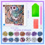 Dikence Crafts Gifts for 8 9 10 11 Years Old Girls, 5d Painting by Numbers for Adult Kids Age 9-13 DIY Painting Kits for Girl Age 9 10 11 12 13 Years Owl Diamond Arts Kit for Girls Toys Gifts