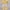Yellow, variant on OGLCCG Toddler Girls Satin Pointe Ballet Shoes Dance Slippers Practice Shoes Soft Performance Gymnastics Yoga Flats Shoes with Laces 2-14 Years