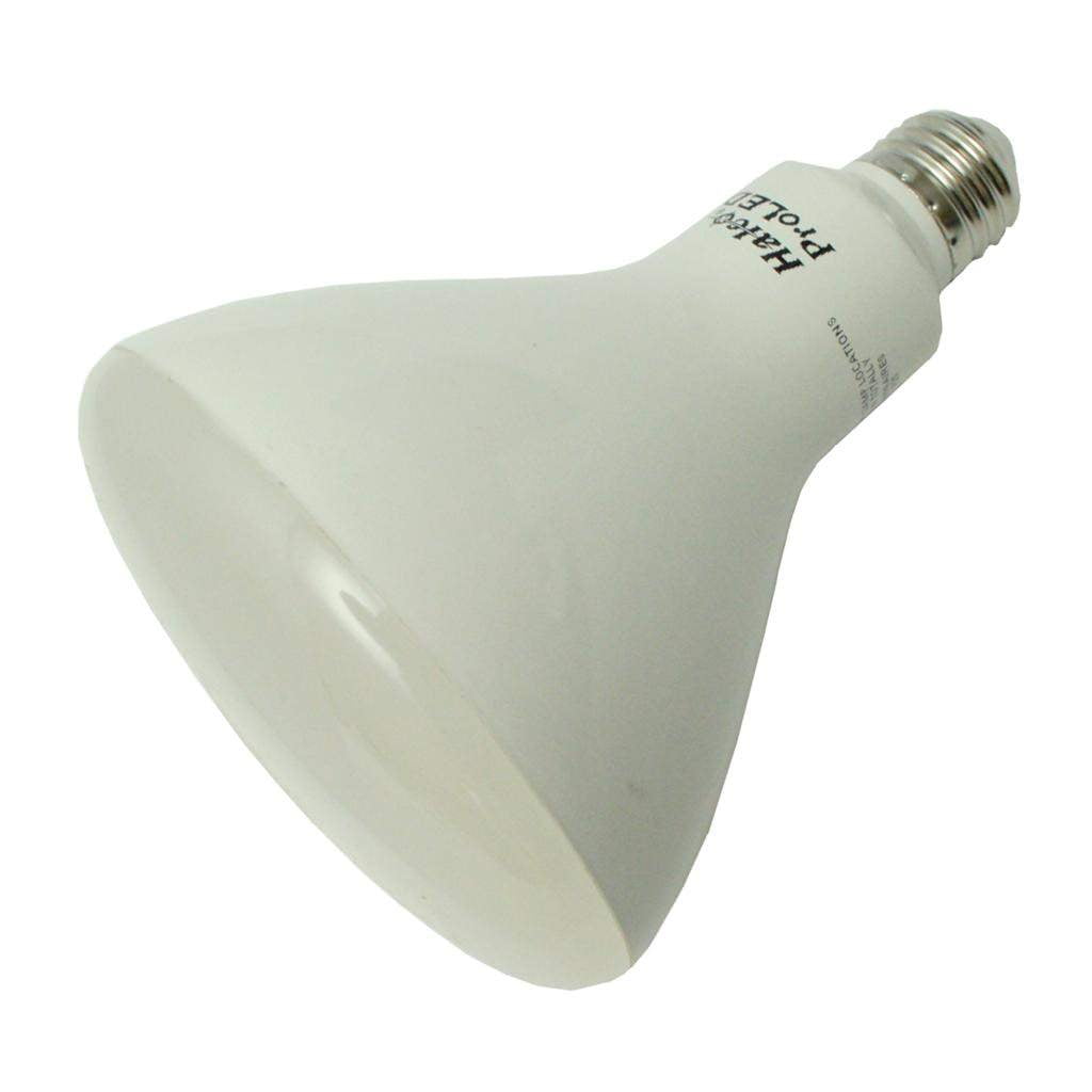 Halco 80993 R40FL16/POOL/12V/LED R40 Flood LED Light Bulb
