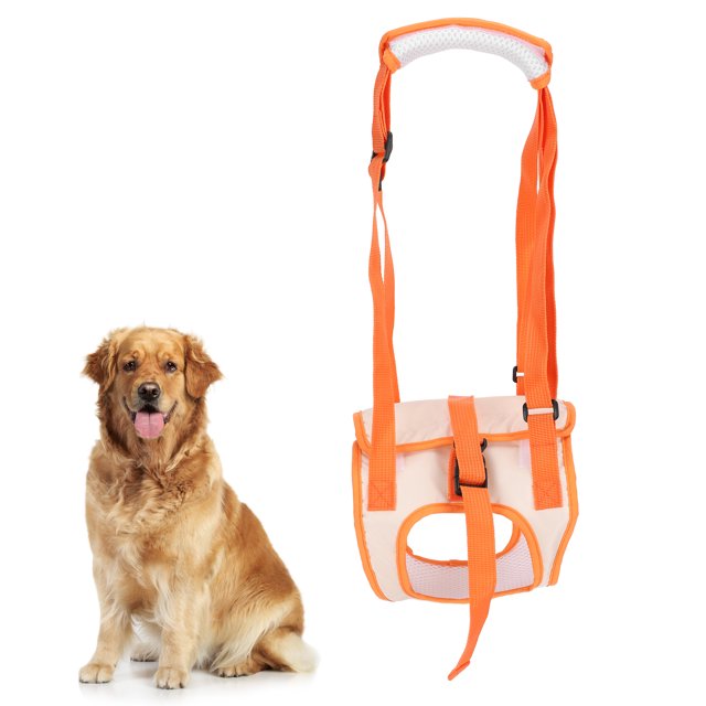Dog Rear Leg Support Belt, Comfortable Dog Assist Harness Breathable Sturdy Mesh Cloth For Injury Dog And Dog