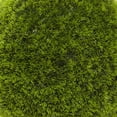 thumbnail image 6 of 22" Round Topiary Artificial Foliage Ball, by DecMode, 6 of 12