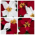 thumbnail image 6 of Sympathy Silks Artificial Christmas Cemetery Flowers 30" Red and White Poinsettia Saddle for Headstone, 6 of 6