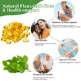 thumbnail image 6 of Oil of Oregano Softgels 9000mg Per Serving, 300 Count | 2 in 1 Formulated with Black Seed Oil 200mg, 4X Strength Carvacrol & Thymoquinone | Plant Based, Non-GMO & Immune Support, 6 of 9