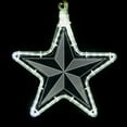 thumbnail image 1 of Wintergreen Lighting Laser Etched Acrylic Clear Christmas Decorations, Lit Window Decorations Christmas Light Decorations Indoor-Outdoor (10", Clear Star Light with Pinwheel Design), 1 of 1