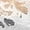 White, variant on XDIAHBPL Shawl Wraps For Women Shawl Lace Shawl Bride's Bridesmaid Evening Dress Cheongsam Shawl Scarf White