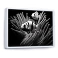 thumbnail image 2 of Designart "Monochrome Clownfish Group" Coastal Coral Under Water Floater Framed Wall Art Prints, 2 of 5