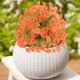 thumbnail image 2 of Decoración de bonsái de jardín con flores artificiales, 2 of 7