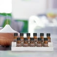 thumbnail image 5 of 2PCS 22-Slot Natural Wood Essential Oil Storage Rack – Desktop Nail Polish Display Holder for Bedroom, Office & Bathroom Organization, 5 of 6